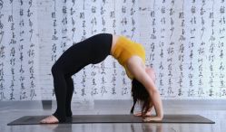 -亚太瑜伽普拉提学院