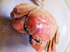 -蘇叁禾·本帮江浙菜(嘉善路店)