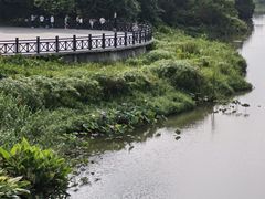 -海珠湖公园