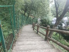 -藏龙百瀑风景区