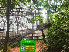 -芦仙山景区-飞越丛林探险乐园