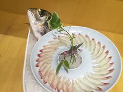 -鲤·鮨KOISUSHI