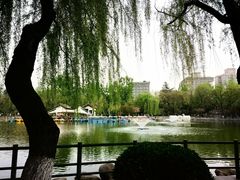 -老字号贾家肉丸糊辣汤(光明巷店)