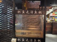 -肥鱼屯活鱼锅(惠工街店)