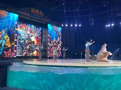 -哈尔滨波塞冬海底世界