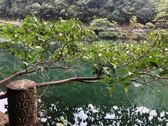 -宁海森林温泉