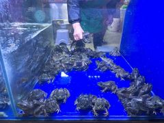 -石锅苗苗鱼(武汉首店)