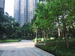 -星湖商业城