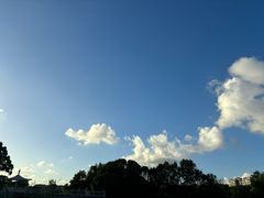 -新江湾城公园