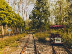 -合肥滨湖国家森林公园