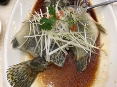 清蒸桂花鱼-顺德人家食府(黄金广场店)