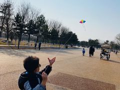 -汉长安城未央宫国家考古遗址公园