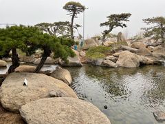 -罗红摄影艺术馆