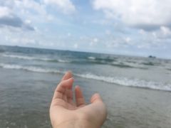 -红树林天天赶海