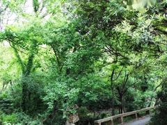 -雨花胜境