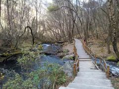 -叠溪松坪沟景区