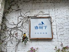 -春树下·树屋花房西餐厅(罍街AS1980店)