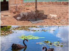 -上海辰山植物园