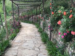 -井塘古村