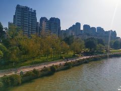 -光明港公园