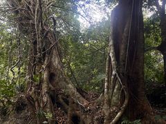 -七仙岭温泉国家森林公园