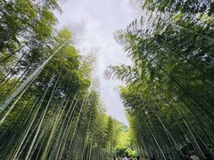 -黄公望隐居地