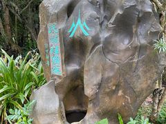 -中国科学院西双版纳热带植物园