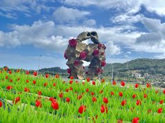 -亚龙湾国际玫瑰谷