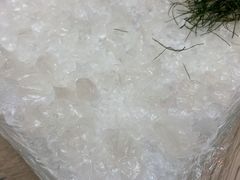 -联邦酒楼
