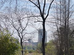 -沙市市中山公园