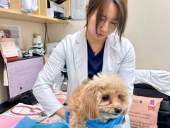 -美联众合爱康动物医院•复杂内科•肿瘤科•牙科•腔镜诊疗中心