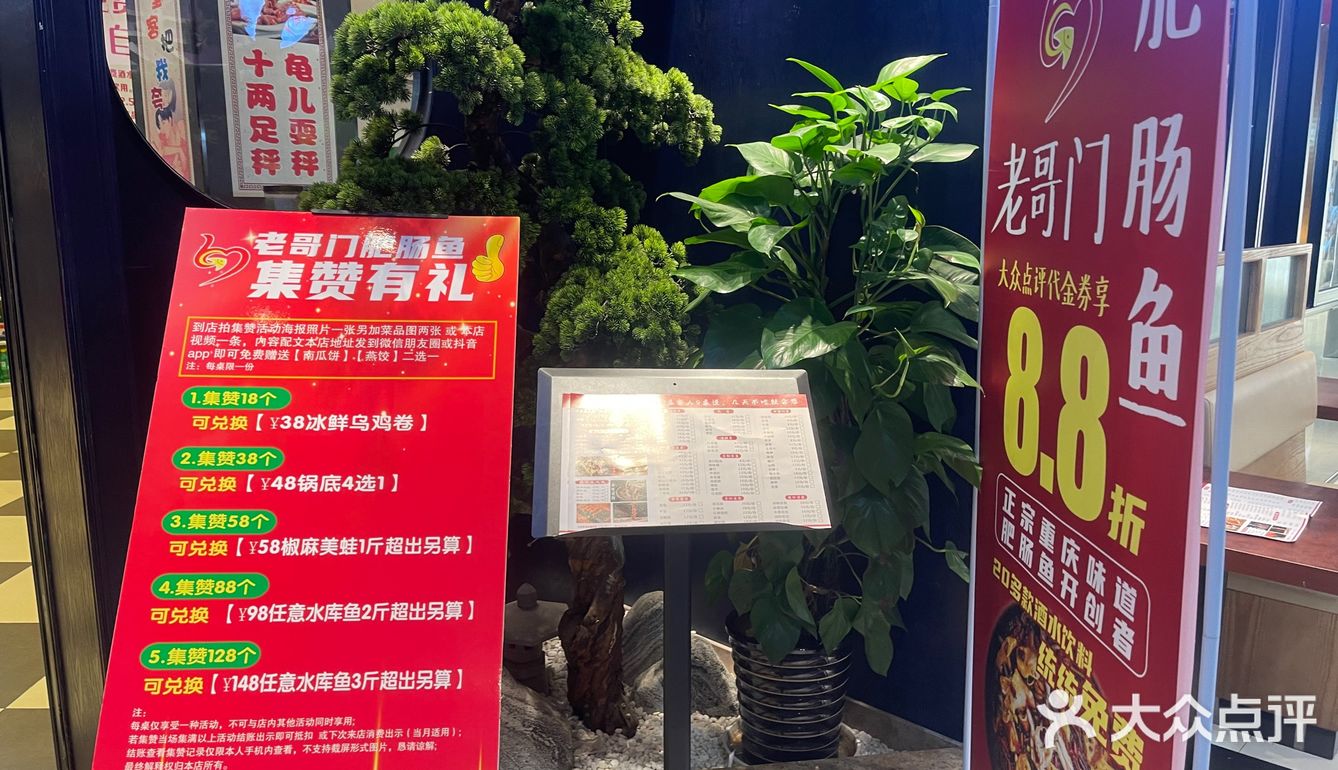 来尝尝这里的鱼