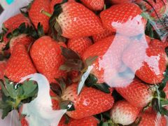 -堤口果品批发市场