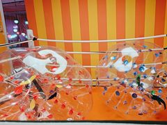 -不可思议减压馆·解压博物馆·摔碗发泄·团建定制