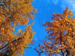 -苏州河梦清园环保主题公园