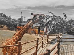 -西安秦岭野生动物园