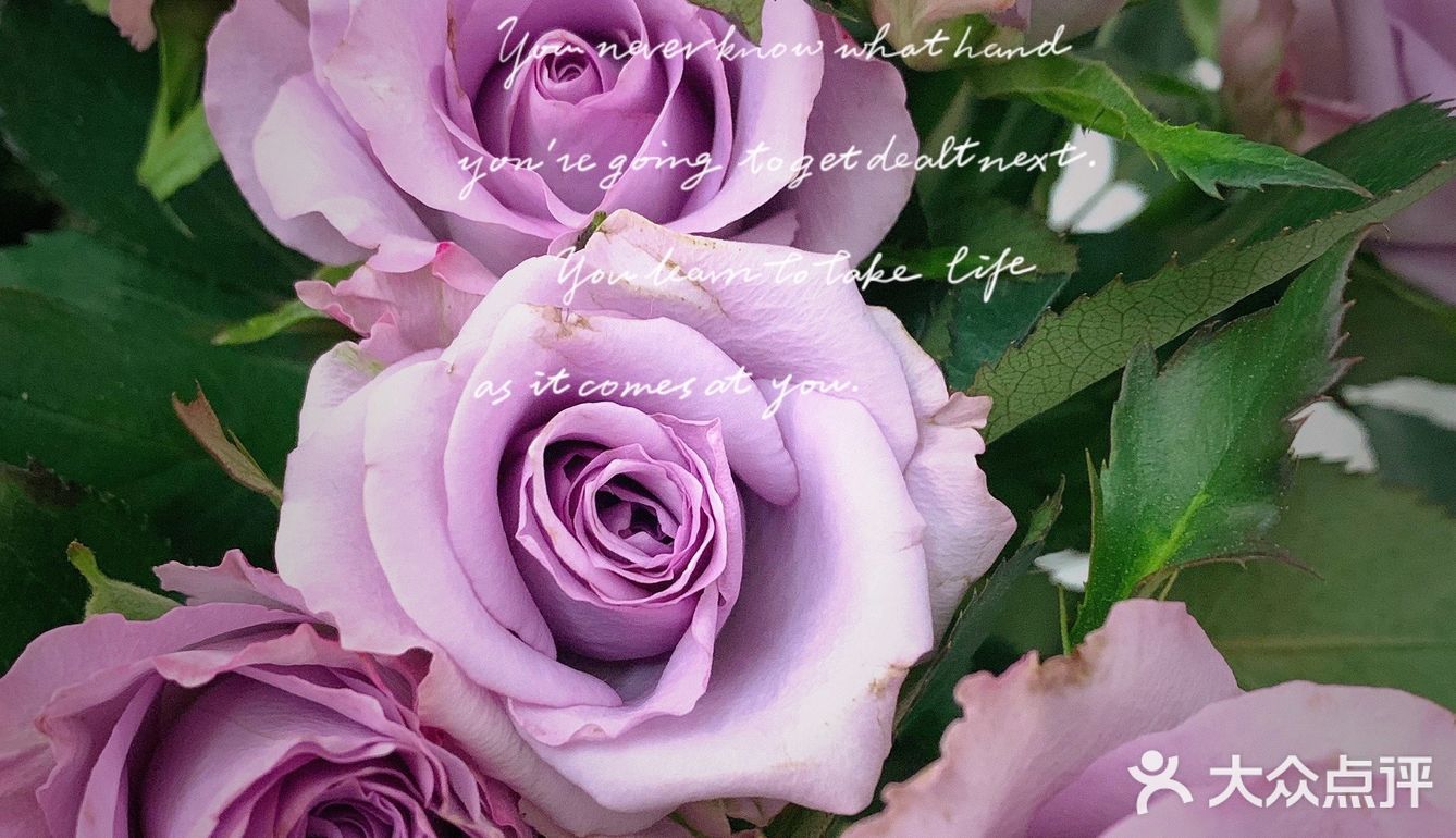 四十块的美丽[爱心]送给生活～