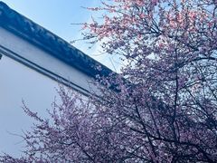 -八大山人梅湖景区