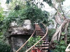 -北京植物园-展览温室