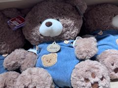 -可爱抓 COCO  GOTCHA(天津鹏欣水游城店)