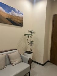 -北京米扬丽格医疗美容·联合丽格鼻整形中心