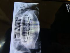 -重庆医科大学附属口腔医院(冉家坝院区)