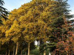 -河南省黄河迎宾馆