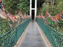 -西双版纳原始森林公园