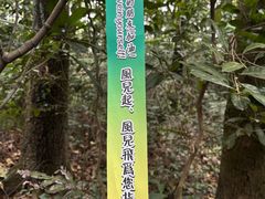 -广州市白云山风景名胜区