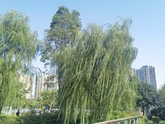 -写庭·鱼鲜川菜·宴请(铁像寺水街店)