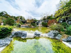 -上海吴淞炮台湾国家湿地公园
