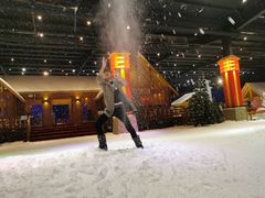 -宁波冰雪大世界(北仑区)