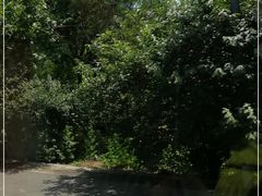 -妙峰山风景名胜区