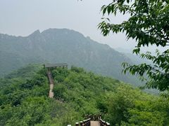 -大岭沟猕猴桃谷风景区